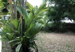 Bukit Sedap Road (D10), Semi-Detached #461215491